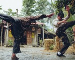 Phim hài chiếu Tết 