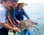 Vận động người dân giao 4 rùa biển thả về đại dương