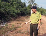 Kiến nghị xây thêm 20km hàng rào điện bảo vệ voi rừng