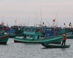 Chìm 2 tàu cá của Bà Rịa - Vũng Tàu, 13 ngư dân được cứu