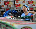 Chưa thể cưỡng chế trên 3.100 tỉ đồng: Tài khoản Sabeco không còn tiền