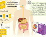 Vụ giải độc rượu bằng 15 lon bia: bia là phụ, chính là lọc máu