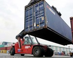 Container ứ đọng vì thông tư, doanh nghiệp lãnh đủ