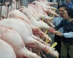 Chặt chân heo lở mồm long móng để che mắt người mua