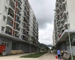 Rao bán tràn lan nhà ở xã hội