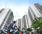 Chiếm dụng phí bảo trì chung cư: giao công an điều tra, khởi tố
