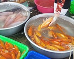 Nhiều khách sộp mua cá chép tiền triệu cúng ông Công ông Táo