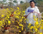 Mai tết Sài Gòn hối hả lên máy bay 