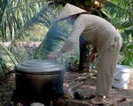 Làm dâu ngày Tết: Tôi chỉ phụ mẹ chồng nhặt rau, rửa ly