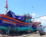 Cơ sở đóng tàu đi biển giữa thành phố gây ô nhiễm