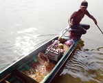 Bó tay với nạn chích điện, bắt cá phóng sinh?
