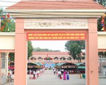 Họp lớp đi, đừng bàn với bạc nữa!