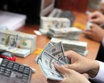 Từ 1/10, dừng cho vay ngoại tệ trung và dài hạn để nhập khẩu hàng hóa
