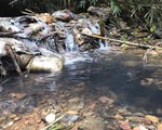 Vụ nước có mùi lạ ở Hà Nội: Xe tải đổ trộm dầu nhớt gần nhà máy nước sông Đà