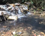 Có thành phần dầu thải trong nước sạch 