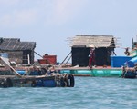 Cá chết hàng loạt nghi do ô nhiễm, dân thiệt hại tiền tỉ
