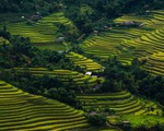 Vẻ đẹp bất tận non nước Hà Giang vào chớm thu