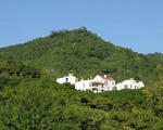 Nhà đầu tư chống 