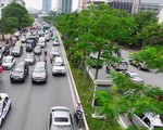 Hà Nội "xin" trồng thêm 600.000 cây xanh không qua đấu thầu