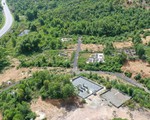 Tự ý xẻ bán đất rừng làm nghĩa trang