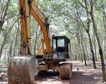 Tài xế đổ trộm 20 tấn rác thải trốn công an lại bị rắn độc cắn