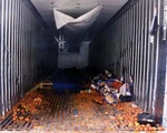 Container, 