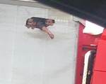 Người nhập cư khoét lỗ thùng xe tải chật bí đúng ngày 39 người chết trong container
