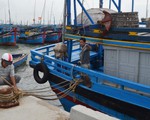 Tất bật ứng phó bão số 5