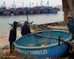 Phú Yên, Bình Định sẵn sàng dời dân, sơ tán để đón bão số 5
