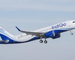 Airbus trúng đơn hàng 300 chiếc máy bay từ Ấn Độ