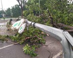 900.000 hộ dân miền Trung mất điện do bão số 5