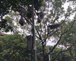 Dân Trùng Khánh sống như thế nào với 2,58 triệu camera giám sát?