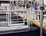 60 phóng viên tham gia Câu lạc bộ Báo chí vì môi trường