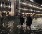 Venice đạt đỉnh triều trong 50 năm, người dân và du khách cùng khổ