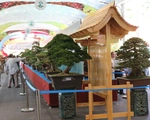Chiêm ngưỡng những tác phẩm bonsai, suiseki tiền tỉ