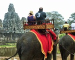 Campuchia cấm du khách cưỡi voi ở Angkor