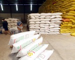 Xuất khẩu gạo phải thận trọng, tuyệt đối không để trong nước thiếu gạo