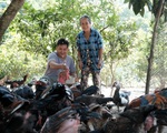 Bước qua đêm kinh hoàng