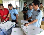 Thêm lô hàng nhập từ Trung Quốc ghi nhãn 