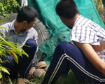 Hơn 100 học viên cai nghiện xông ra ngoài, lấy xe máy người dân trốn chạy