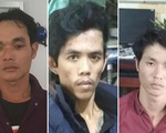 Giữa khuya ăn trộm cây mai trị giá 150 triệu đồng đem bán