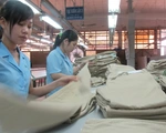Xuất khẩu dệt may, da giày trên đà… 