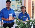 Nước mật dừa của kỹ sư hóa học tại Ngày hội xây dựng nông thôn mới
