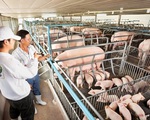 Nông nghiệp châu Á "cầu cứu" công nghệ
