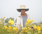 Thí điểm thu phí khách tham quan làng hoa Sa Đéc