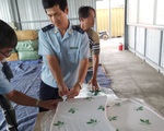 Hải quan TP.HCM vượt chỉ tiêu thu ngân sách 300 tỉ trước 1 tháng