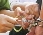 Trốn truy nã 26 năm, bị bắt khi đang làm Chánh văn phòng tòa án