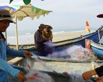 Bà Rịa - Vũng Tàu thu hồi đất dự án, trả lại bãi biển cho ngư dân và cộng đồng