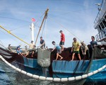 Tuần sau, EC lại đến Việt Nam kiểm tra việc khắc phục 
