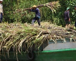Thủ tướng: 